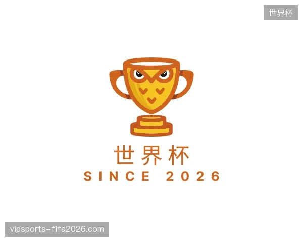关于世界杯官网